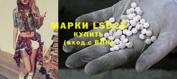 индика Абдулино