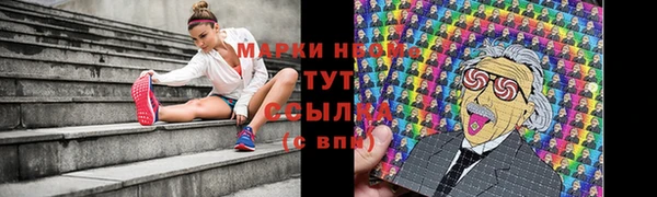 индика Абдулино