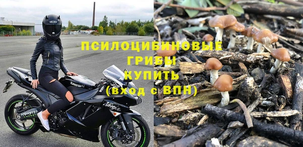 индика Абдулино